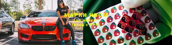 индика Иннополис