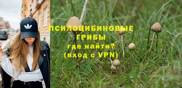 прущие крисы Инсар