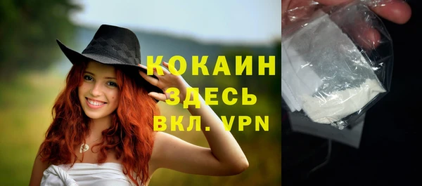 индика Иннополис