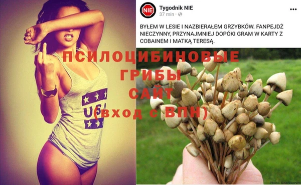 прущие крисы Инсар