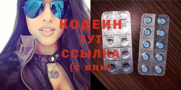 индика Иннополис