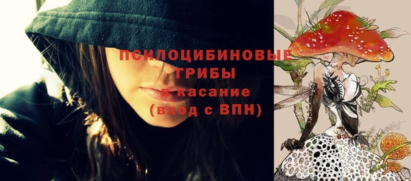 шишки Зеленокумск