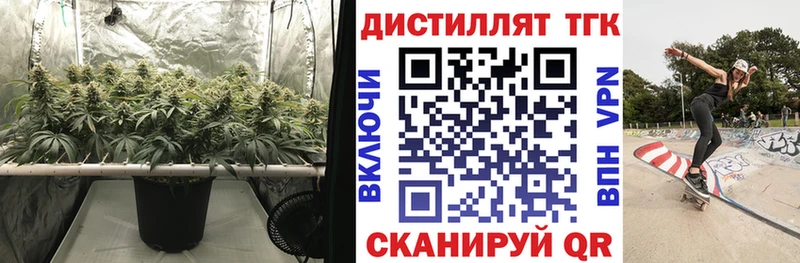 даркнет сайт  Истра  дарк нет как зайти  ТГК THC oil 