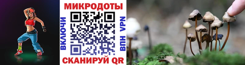 Псилоцибиновые грибы Cubensis Истра