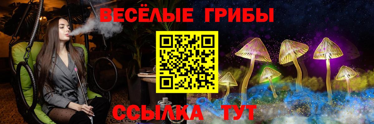 Истра  купить наркотики сайты  Вход с VPN  Псилоцибиновые грибы ЛСД 
